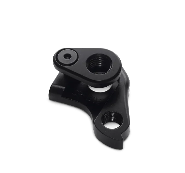 Chapter 2 Disc Brake Rear Derailleur Hanger for Tere/Rere