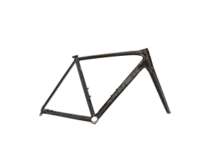 Trek Emonda ALR Disc Frameset  (Dnister Black)
